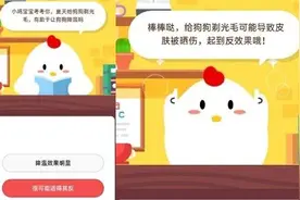 夏天给狗狗剃光毛有助于让狗狗降温吗 蚂蚁庄园5月25日今日答案图片