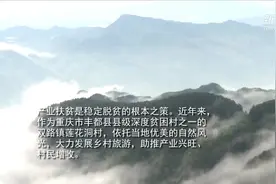 重庆：乡村旅游助力山村脱贫攻坚视频封面