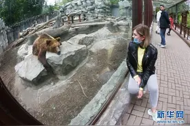 乌克兰首都基辅动物园恢复对外开放图片