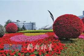 花景大道、花漾街区扮靓环境 济南这座城市的颜值，越来越高啦图片