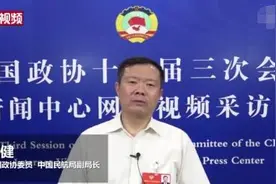 民航局副局长：不建议粉丝聚集机场追星接送机图片