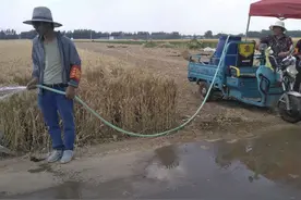 河南省沈丘县白集镇 流动洒水车“三夏”好帮手图片