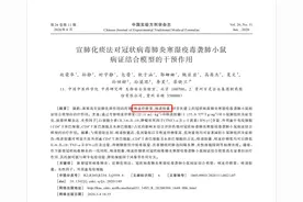 贵州百灵：初步证实两款药品对轻型和普通型新冠肺炎有效图片