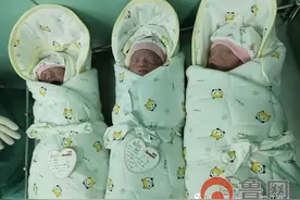 奇迹！泰安市妇幼保健院顺利接生足月三胞胎图片