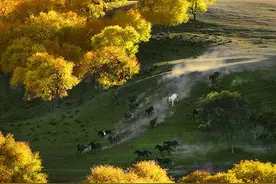 用镜头收获诗情画意 以情感游走绿水青山图片