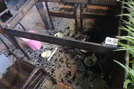 浙大后山上的石头一颗颗落到滨江一座高楼下！面对高空摄像头，他说出了真相...图片