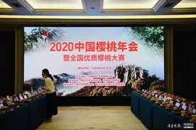 临沂举办2020中国樱桃年会，现场评比最美味大樱桃图片