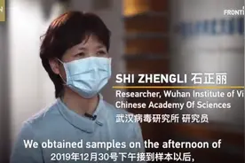 CGTN专访“蝙蝠女侠”石正丽：首次拿到新冠病毒样本后做了这些工作图片