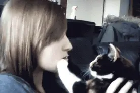 猫：我高冷、乱撒尿、嗷嗷叫，可是我需要你图片