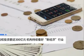 中国财富报道|4月股权投资额近300亿元 机构持续看好“新经济”行业视频封面