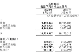 一季度亏损17亿元，美团首次披露收入明细，透露出这个秘密图片