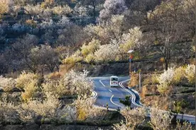 满目皆美景 无处不风光！日照这条“网红路”美翻了图片