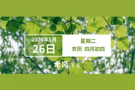 龙岗高中园计划开工日期定了，建成后将新增3所公办高中、8100个学位｜早安，龙岗图片