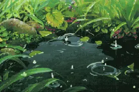 大声预告：明天会有太阳，宜晾晒！图片