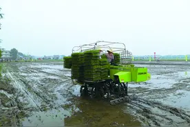 株洲：机械换人，种一亩水稻亏300元变成赚300元图片