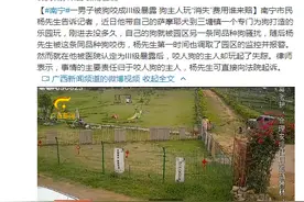 南宁一男子被狗咬成III级暴露 狗主人玩“消失”费用谁来赔图片