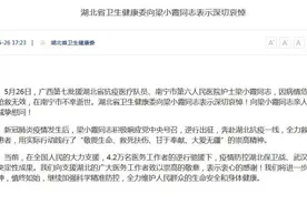 湖北卫健委对援鄂护士梁小霞不幸逝世表示深切哀悼图片