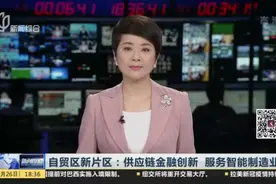 自贸区新片区：供应链金融创新  服务智能制造业视频封面