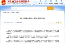 送别！援鄂护士梁小霞图片