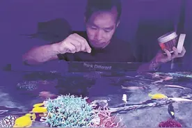 陈山水：十年磨剑“种”珊瑚图片