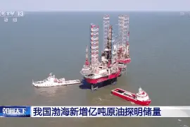 我国渤海新增亿吨原油探明储量图片