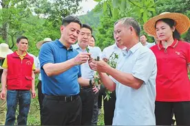 李新元：发展乡村特色产业 创造更加幸福的生活图片