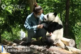 你瞅瞅！“直男”撒起娇“小仙女”都扛不住图片