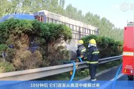 消防高速路上鸡洗澡降温 5000余只“高温鸡”秒变“落汤鸡”图片