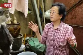 七旬老人27年养600只流浪猫：“退休金基本都给猫花了”图片
