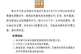 烟台发布冰雹橙色预警！注意雷电、风雹图片