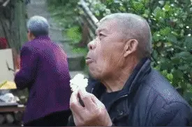 老年人的浪漫爱情！抖音秦巴奶奶：爱就是一起吃好多饭图片