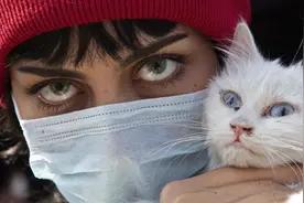 莫斯科猫咪剧院负责人介绍猫咪感染新冠怎么办图片