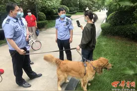 雁塔警方上门查处“训狗”狗主人拒不开门被张贴违法告知单图片