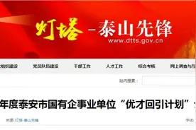 公告！泰安籍在外工作的事业单位在编在职人员、国企正式职工可安置回泰安工作图片