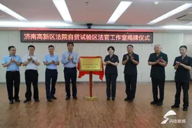 济南高新区法院自贸试验区法官工作室正式挂牌成立图片
