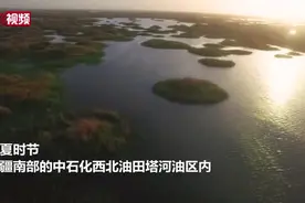 美如画！航拍新疆塔河油区视频封面