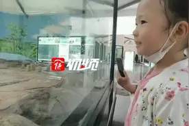 30日迎客 各类动物陆续入驻二一九动物园图片