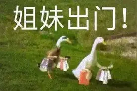 你离上海迪士尼的距离有多远？100米…直线距离！这样的民宿还不少图片