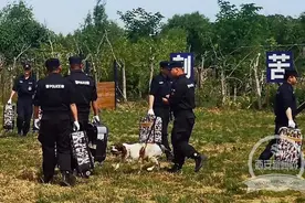 不仅能搜爆还会解救人质 地铁警犬上演全武行图片
