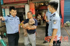 注意了！无证养犬被查不要怕 西安可补办养犬登记证图片