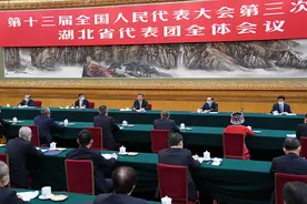 习近平同出席全国两会人大代表、政协委员共商国是纪实图片