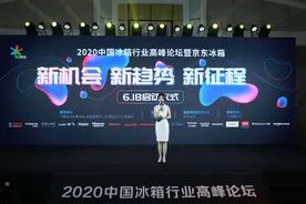 需求回暖、高端跃升 疫后冰箱市场“换新”破局图片