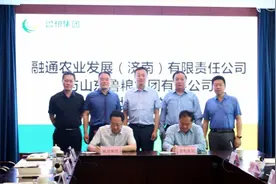 鲁粮集团与中国融通农发集团签署战略合作协议图片