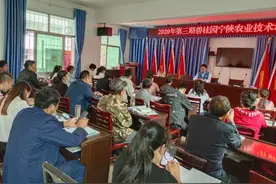 碧桂园联合宁陕人社局开展复工专项招聘会 提供万余个工作岗位图片