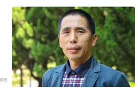 陈国强专栏｜女性能顶半边天，冬奥会冠军张虹从速滑赛道滑向国际舞台图片