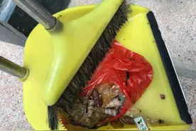她丢了袋垃圾，刑拘图片