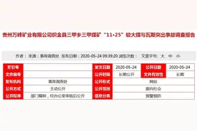 7人死亡、1人受伤！县委书记、副书记、副县长等35人被处理图片