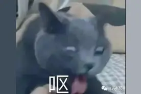 这款坚果零食里竟吃出头发！背后这条2000万的产业链条更可怕图片