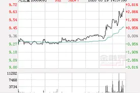 九芝堂大幅拉升2.88% 股价创近2个月新高图片