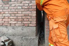 又卡住一个！洛阳男孩贪玩被卡墙缝，消防员拆墙成功救出图片